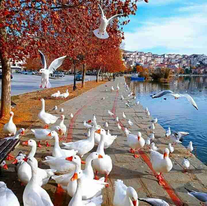 آدم ها آنقدر زود عوض میشوند... آنقدر زود که تو فر صت نمیکنی به ساعتت نگاهی بیندازی و ببینی  چند دقیقه بین دوستی ها تا دشمنی ها فا صله افتاده است....