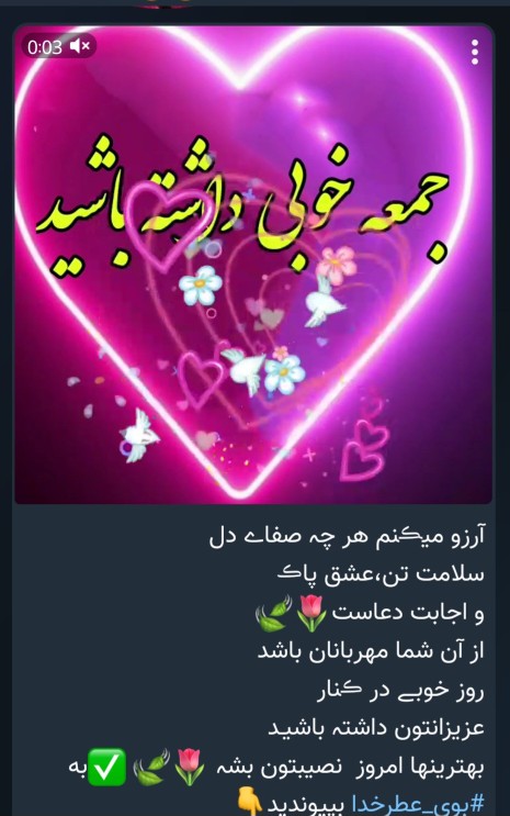 🌷💕🌷💕🌷💕