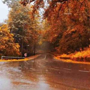 پاییز و باران 