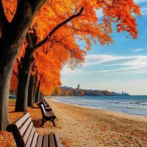 بهترین هدیه ای که میتونی به کسی بدی زمانته! چون در واقع داری بخشی از زندگیت رو بهش میدی که هر گز بر نمی گرده !