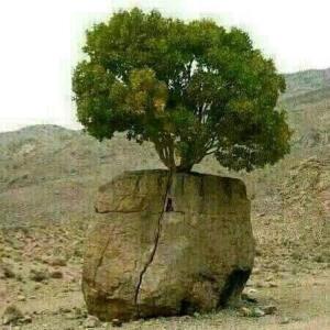  برای رضای خدا خوبی کنید تا معجزه ببینید 