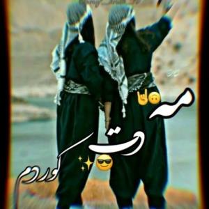 بژی کوردبژی کوردواری👑💯👉🏻👍🏻