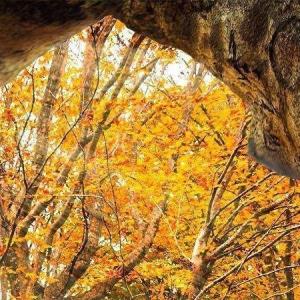 1️⃣1️⃣  به‌ هر وسیله‌ای شده، حتی با یه "سلام"، خیر برسونید 