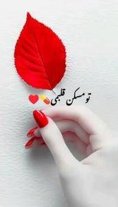 تومسکن‌قلبمی