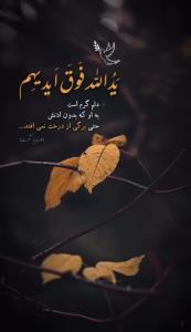 خدایا شکرت 🤍🌱