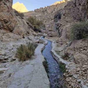 در مسیر برگشت به خانه...