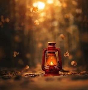 
شب،برای بعضی آدمها
وقتِ خواب نیست 