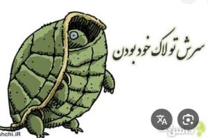 فرق لاک پشت با ادمها چیه ؟بیا کپشن 👇