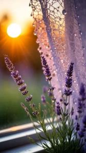 غروب پاییز😉😉😉🥰🥰