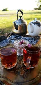 سلام روزتون پراز حس خوب دوست داشتن ☕🌱