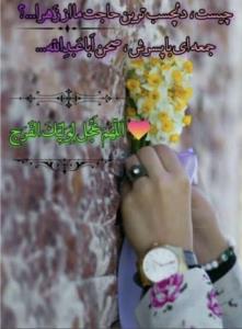 دست من و نگاه شما، ایّها العزیز!..