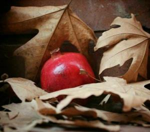 گرچه می دانم که گاهی بی قرارم نیستی🌹🌸