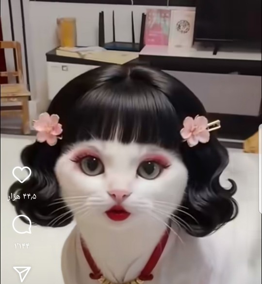 می یو خانم و آرایش او 🤣🤣🙀🙀