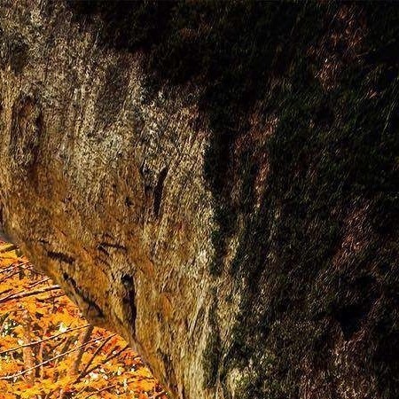 🔟  آدم‌های مسن رو دریابید و مراعاتشون رو بکنید 🌱