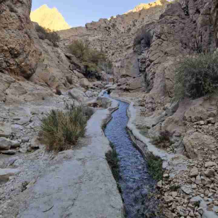در مسیر برگشت به خانه...