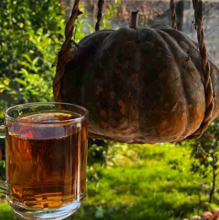 غروبتون خوشمزه و شاد باشه 