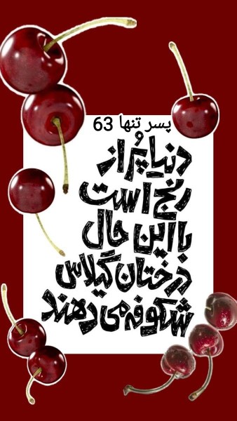 دنیا.   درختان. گیلاس 