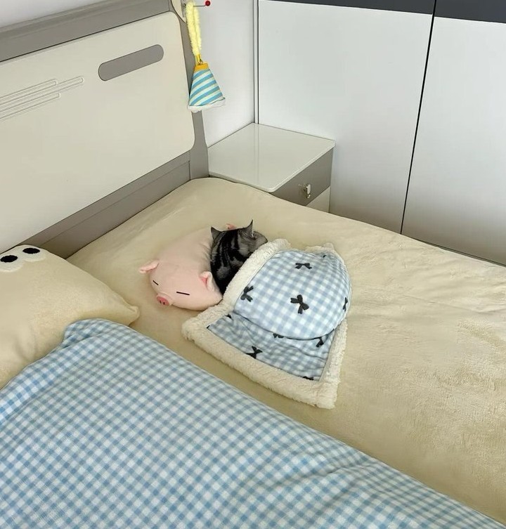 خبری باهات قهرم 🥹