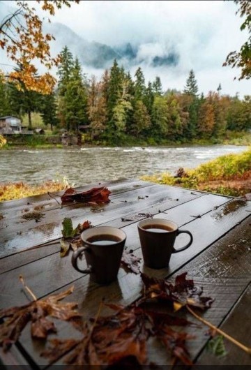 سلام صبح دوستانم بشادی و زیبایی ⚘🦋⚘🦋
