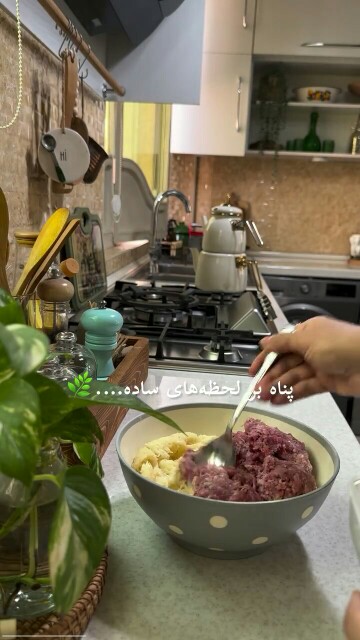 یکنفر اینجا سرش گرم زندگیست...