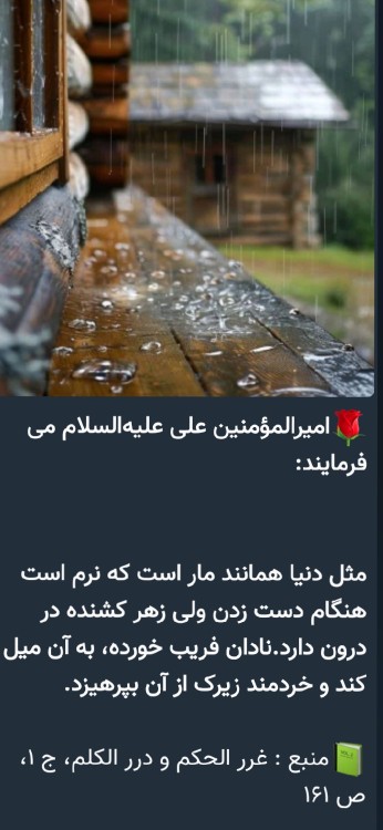 یک حدیث از حضرت علی علیه السلام 💚💚💚