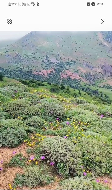 سلام روزتون به این زیبایی