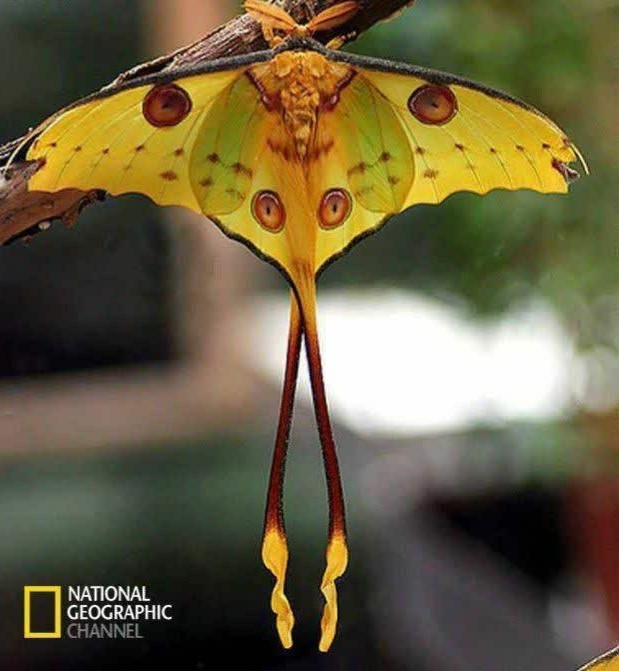 🌎چقدر زیبا و چشم نواز😍