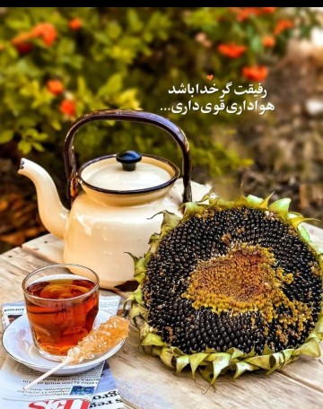 آغاز هفته دوستانم باخیر و برکت🦋⚘🦋⚘