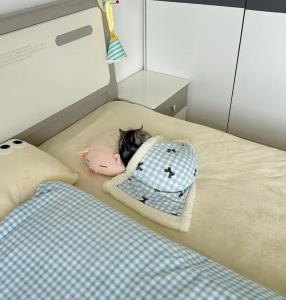 خبری باهات قهرم 🥹