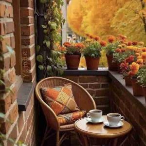 غروب پاییز یه غروب دیگس
غروب پاییز یه تصویری دیگس
غروب پاییز دریا یه نقاشی خاص دیگس
قدم زدن دوعاشق ریختن برگا
غروب پاییز یه حس حال دیگس
غروبتون پر فروغ 🌆
🍃🌸🍃🌸🍃🌸🍃