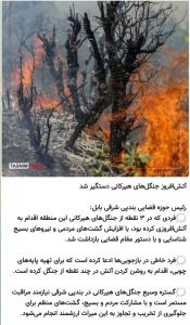 ✅️آتش افروز جنگل‌های هیرکانی دستگیر شد👌
