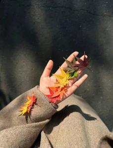 گذاشتمت تو لیست چیزایی که برای من نیست