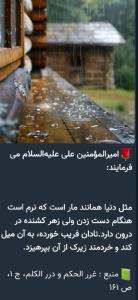 یک حدیث از حضرت علی علیه السلام 💚💚💚