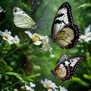 با هرکه نشستم دل از اونشکستیم.....برجام می ومیکده مردانه نشستیم.....هر چند که این جام پر از جور وجفا بود....خوردیم ولی حرمت ساقی نشکستیم....