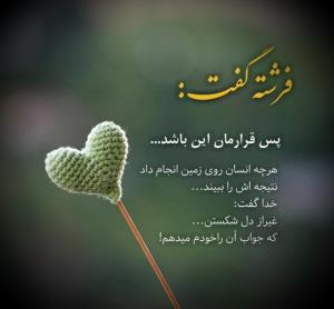 🌻🌼🌻🌼🌻🌼