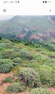 سلام روزتون به این زیبایی