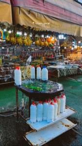 شبتون خوش شیرازیا   عکس دشت ارژن براتون گذشته ام 