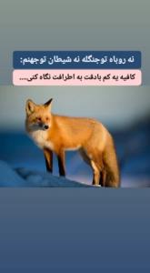 کافیه کمی بادقت به اطرافیانمون نگاه کنیم: