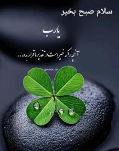 سلام صبحتون بخیر،هفته خوبی داشته باشید🌺🌺🌺🌺