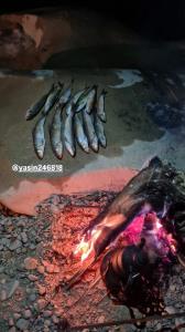 بفرمایید☕️🐟