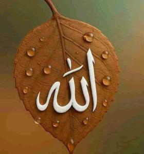 نامت هر جایی زیباست