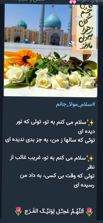 یا مهدی ادرکنییی 💚💚💚🌹🌹