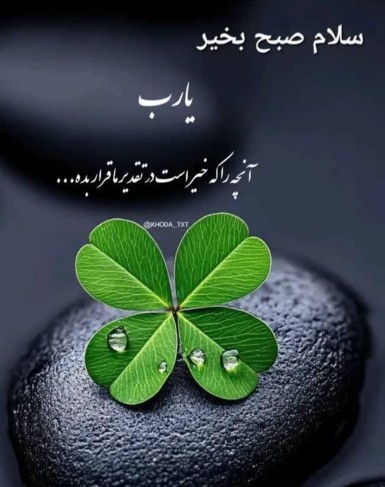 سلام صبحتون بخیر،هفته خوبی داشته باشید🌺🌺🌺🌺