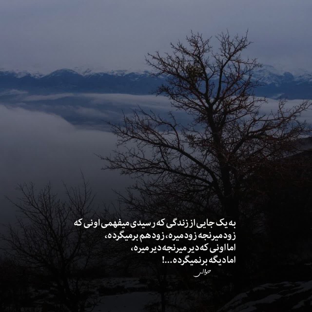 🩷❤️🩷❤️