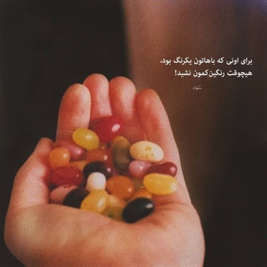 شبتون حسینی 