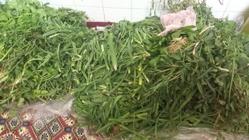 بنظرتون غلط کردم واسه همچی روزی نیس🥺🤕🤣🤣