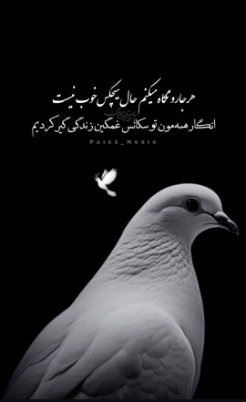 صفا باشه روزتون... 🤞🕊🍁