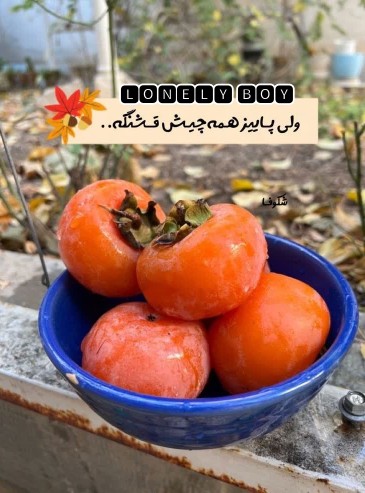 ولی پاییز 🍁 همه چیش. قشنگه ...