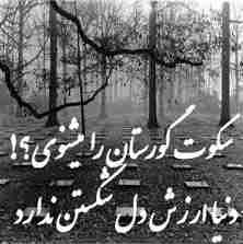 سکوت گورستان رامیشنوى؟
دنیا ارزش دل شکستن را ندارد ...
میرسد روزی ک هرگز در دسترس
نخواهیم بود ...
خاک آنتن نمیدهد ک نمیدهد ...!🖤❤️‍🩹