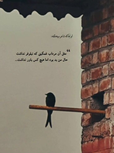 اما هیچکس باور نداشت💔😊🥀